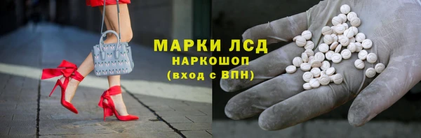 PSILOCYBIN Алзамай