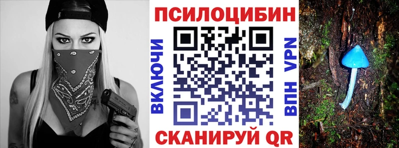 Псилоцибиновые грибы прущие грибы  купить закладку  Чердынь 